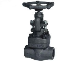 Forged gate valve
